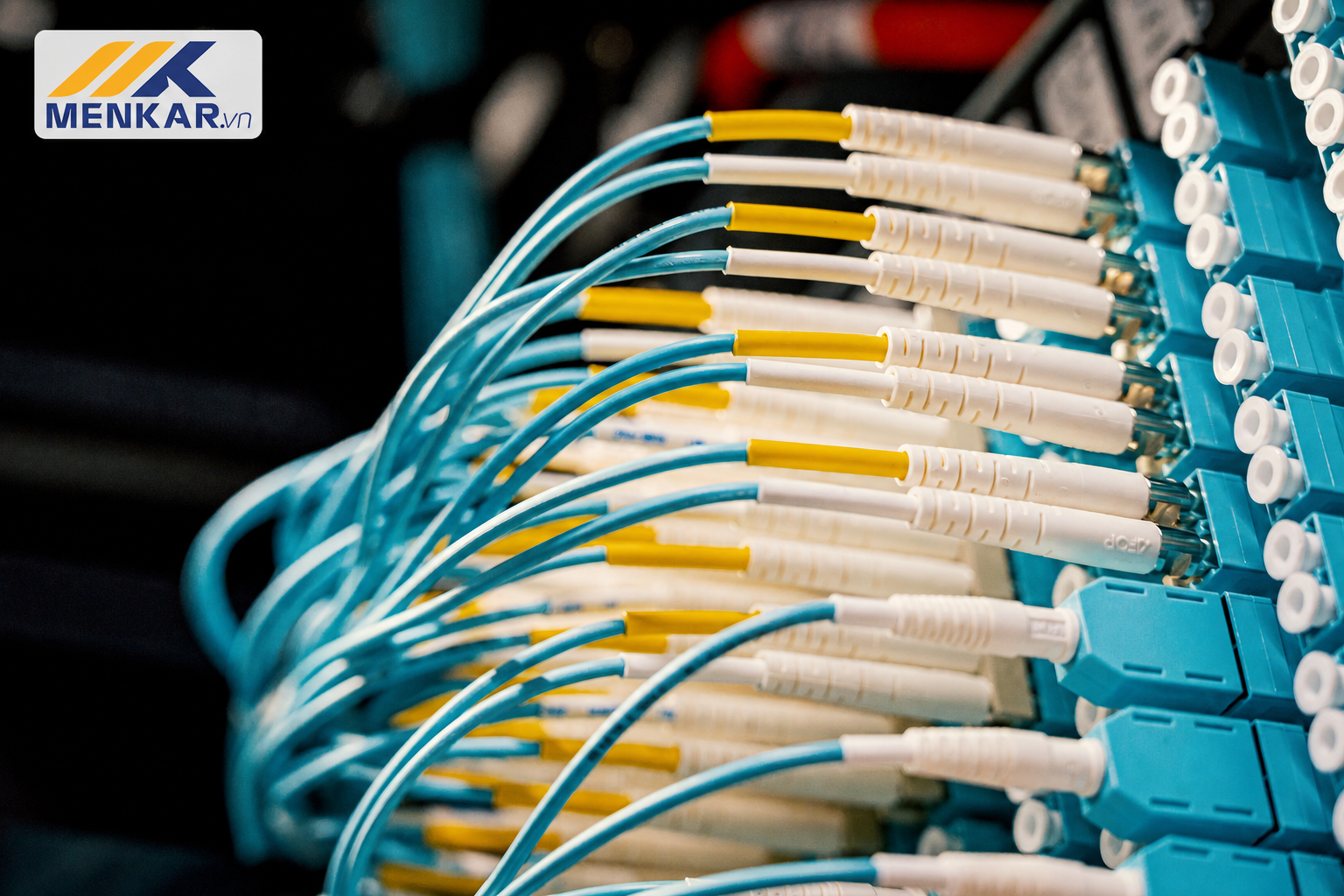 Patch panel cáp quang doanh nghiệp Menkar