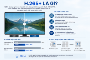 h-265-la-gi